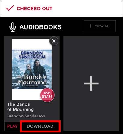 10. On this screen, you can download and listen to your eaudiobooks.
