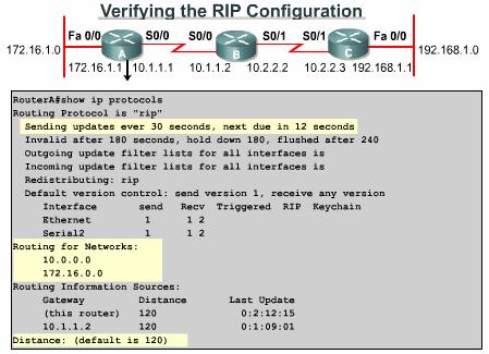 Verifying RIP v2 The show ip protocols and show ip route commands display information about routing protocols and the routing table.