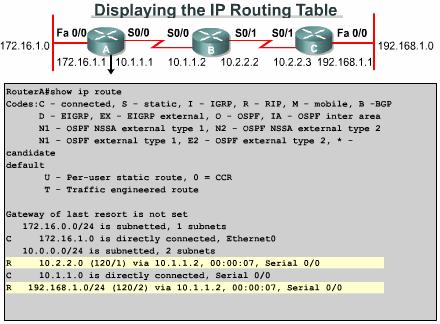 Verifying RIP v2 (cont.) The show ip interface brief command can also be used to list a summary of the information and status of an interface.