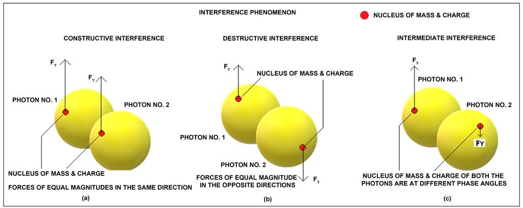 Figure 4. Part (a) shows the two photons in the same phase developing forces of equal magnitudes in the same direction.