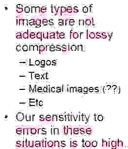 Lossless Compression Some types of images are not adequate for lossy compression.