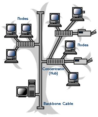 Tree Topology Point-to-point wiring for individual segments Common backbone Overall length of each segment is limited by the type of cabling