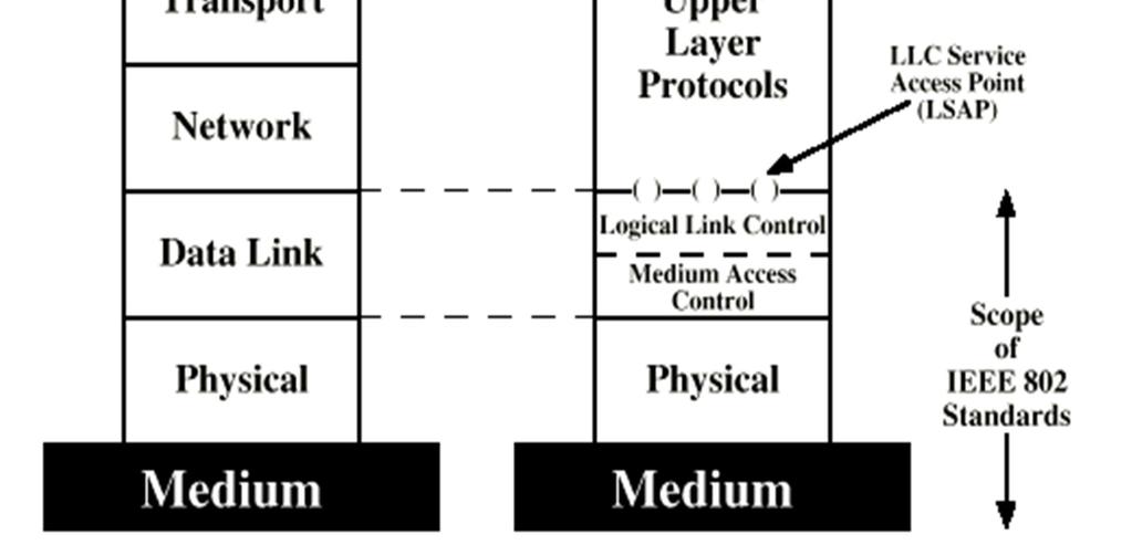 LAN Architecture Described in terms of Protocol architecture Includes: -Physical + Topologies