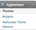 Changing the Presentation (Theme) From the Dashboard, select Appearance à Themes. Click on any of the themes to update the blog. To see what the new theme looks like, click on the Activate theme link.