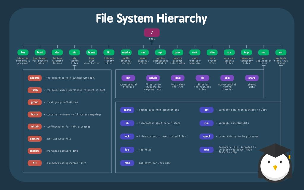 Linux Uses A Hierarchical File