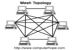 Physical Network Topology: 5. Mesh 5.