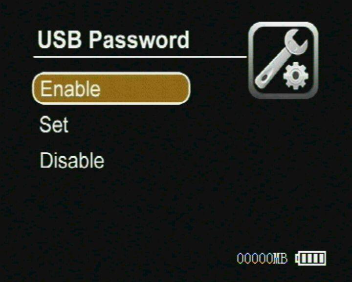 USB password for accessing the DVR by USB.