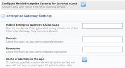 Enforce authentication, copy/paste & view-only restrictions Access