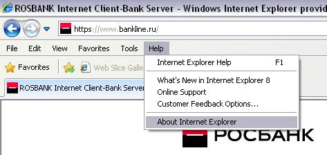 3. STARTING OPERATIONS IN INTERNET CLIENT-BANK SYSTEM 3.1. PREPARING TO OPERATIONS IN THE SYSTEM Any special installation of programs is not required for starting operations in the System.