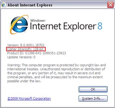 Figure 2. About Internet Explorer Window If Cipher strength value is less than 128 bit, System s electronic pages are not displayed.