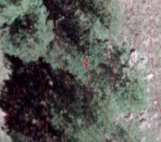 CONT-NO Description: intermediate contour line obscured by overhanging trees, rocks, or buildings Line type: standard CAD generation type is dashed.