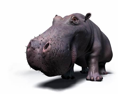 Modeling a hippo: Shaded and texture