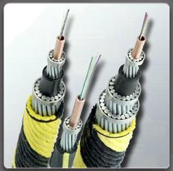 Physical Components of a Network Cables and Connectors Coaxial and twisted-pair cables use electrical signals over copper to