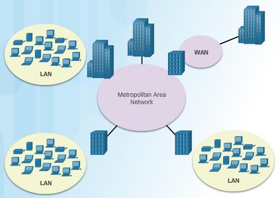 Principles of Networking Types of Networks Major types of networks include: Local Area Networks (LANs) Wireless Local Area Networks (WLANs) Personal Area Networks (PANs) Metropolitan Area Networks