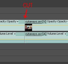 When it has been dragged onto the Timeline you will see your video appear in the Video Preview window. 5. Cutting out the bad parts of your Footage.