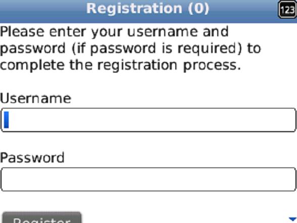 The username is included in the registration email received from Mobile Connect. 9.