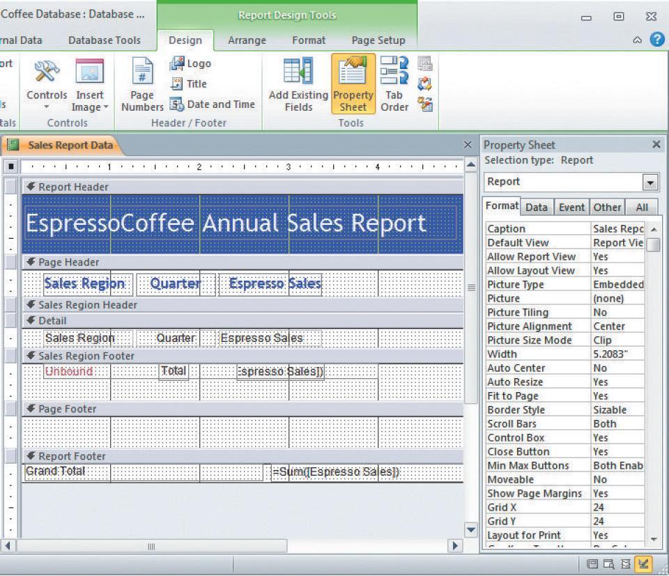 DBMS Designing a Structured Report Database Reports To build a database report, the developer uses a report design template as shown above.