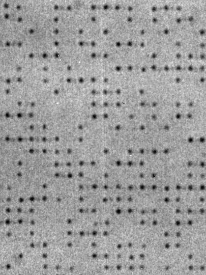 Processing with fs pulses 2 x 2 µm array fused silica,