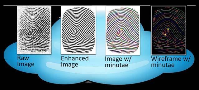 Capacitance sensors use principles associated with capacitance to form fingerprint images.