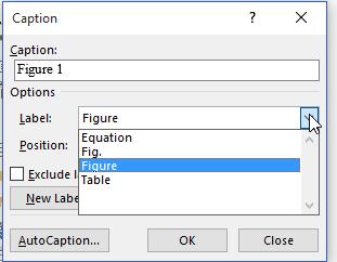 Select the type of label from the drop down. Insure that the position will be in the correct position: Figure - below, Table - above.