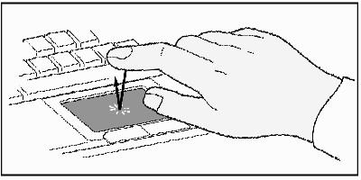 More About the TouchPad Tap on the Pad Instead of Pressing the Buttons Tapping on the surface of the pad is the same as clicking the left mouse or TouchPad button (i.e. the primary TouchPad button).