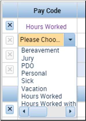 Workforce Central Entering pay (aka leave) codes The time durations you enter into your timecard are automatically allocated to a default pay code.