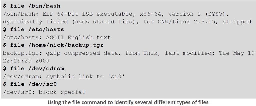 Unix, Linux, and BSD files rarely include an extension which can make identifying their file type a challenge.