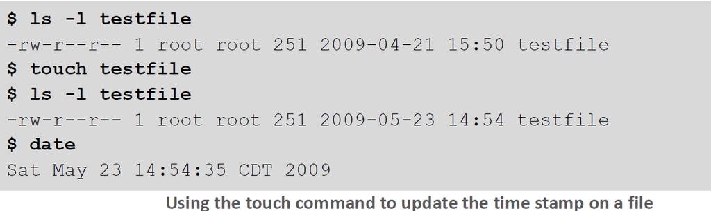 touch Purpose: Update time stamps on a file.