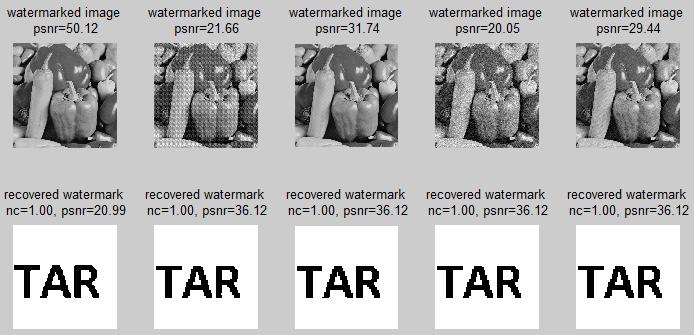Table I: Watermarks comparison