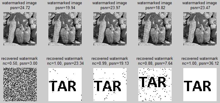 5 Speckle noise 6 Median filter noise 7 Image Rotation 8 Image cropping VI CONCLUSIONS In this paper,