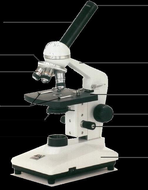 Microscope parts Ocular lens Body Tube