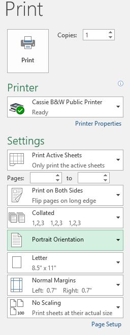Printing Options Under the File tab, locate the Print option. Printer Selection You will use this to tell the computer which printer it should use to print your document.