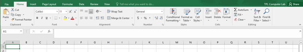Excel, like the other Office programs, uses ribbons to organize the commands.