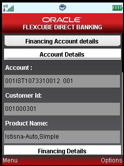 Financing Details Financing Account Details