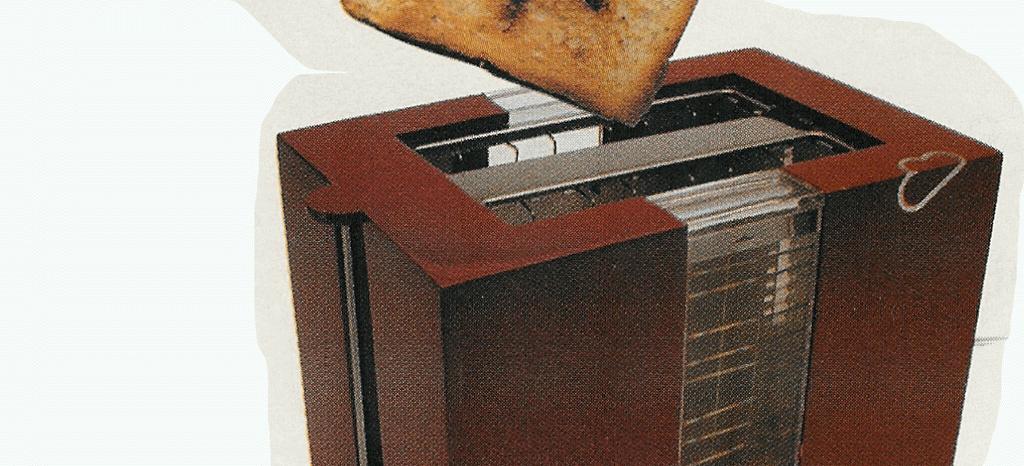 Web-enabled toaster