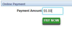 Click it to make one-time payments.