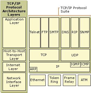 other computers that also use the TCP/IP standards.