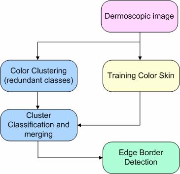 Proposed algorithm Four important steps: Training, Clustering, Classification and Border Extraction Image is quantized by a clustering algorithm, then the levels obtained are portioned in two