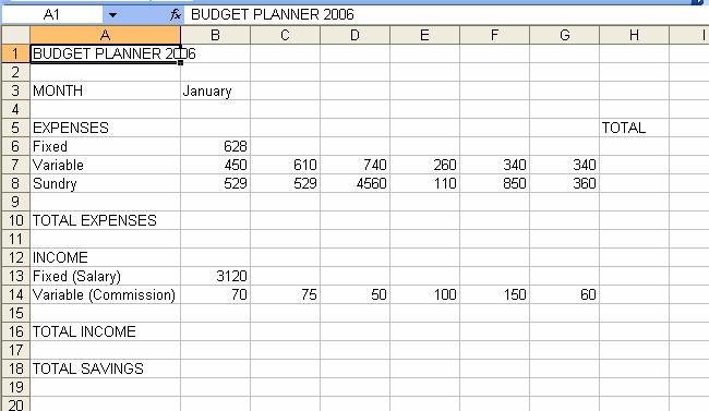 Exercise - To Create a Simple Budget If you do not have a blank spreadsheet open, then go to programs, then Microsoft Excel. You are going to create the following spreadsheet. 1.