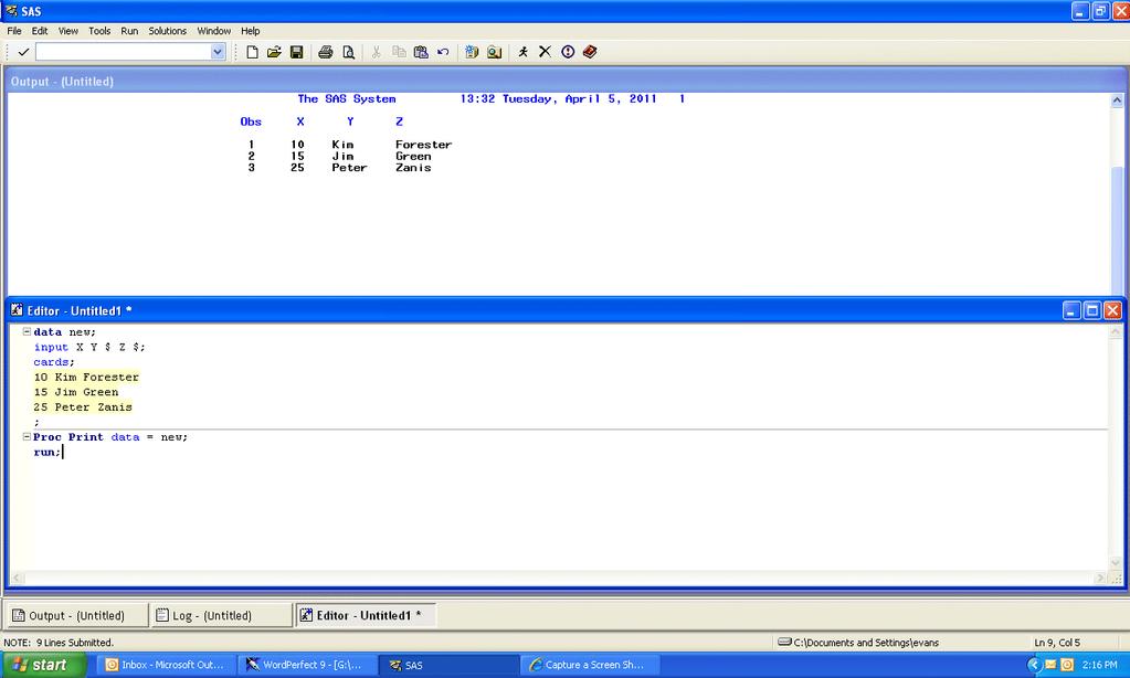 Entering the example SAS code into the SAS Editor window and