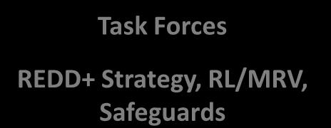 REDD+ Strategy, RL/MRV, Safeguards Technical