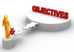 What are your business objectives for 2014?
