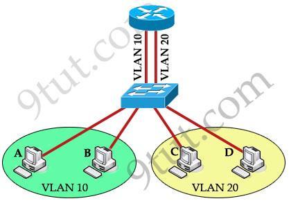 VLAN 20 But host A can t communicate with host C or D because they are in