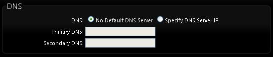 Hostname : The Hostname of the LAN port. DNS: Check either No Default DNS Server or Specify DNS Server IP button as desired to set up the system DNS.