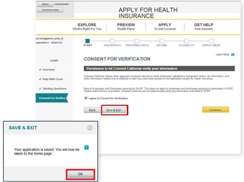 The Consent for Verification page is the next page in the application.