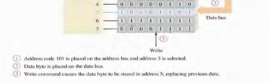 address on a set of lines called the address bus.
