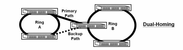 established between these rings, using different methods depending on network requirements and physical layout.