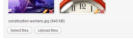 Once the files are uploaded you will see them added to the thumbnails area.