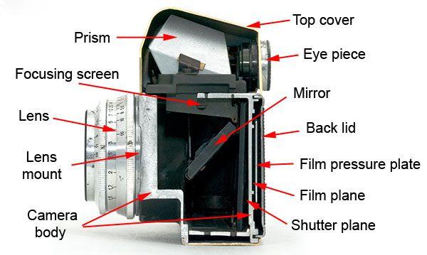 A film is a strip of plastic which is coated with special light-sensitive chemicals for exposure in camera.