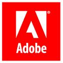 EXAMPLES OF CYBER BREACHES INCLUDING CARD DATA 2013: Adobe Systems Hackers raided an Adobe back-up server on which they found and published a 3.
